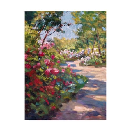 David Lloyd Glover 'A Spring Walking Path' Canvas Art,14x19